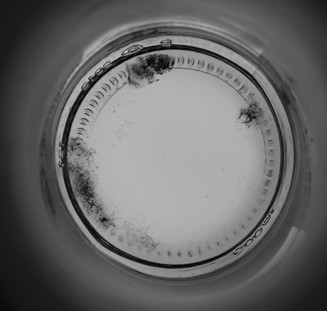 玻璃瓶瓶低检测